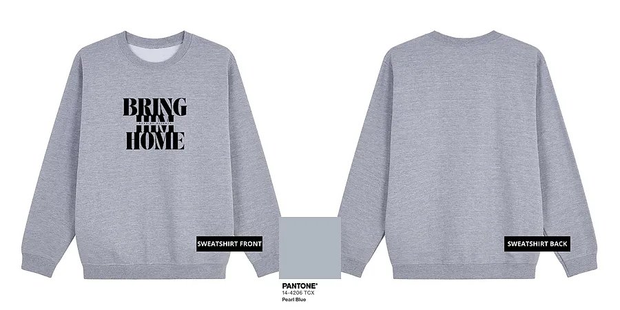 Bring Him Home RD (Blank Ink) — ST02-05B_Bring_Him_Home_RD_Blank_Ink_Gray_Sweatshirt_Mock_Up.png